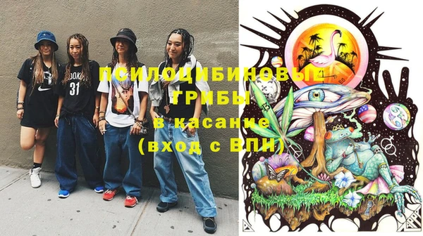 экстази Касимов