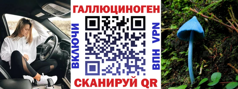 что такое   Приозерск  Псилоцибиновые грибы Magic Shrooms 