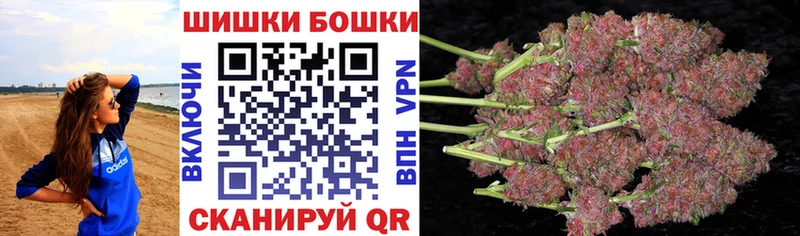 магазин продажи наркотиков  Приозерск  Конопля White Widow 